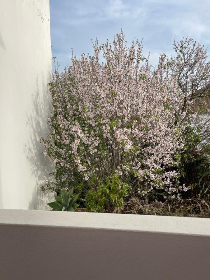 Casa Da Aldeia - Guest House Odiáxere Eksteriør billede